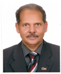 Prof. Abdellatif Elsafy Elgazzar