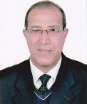 Prof. Tarek Aly Elsayed