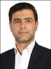 Associate Professor Hassan Pakarzadeh