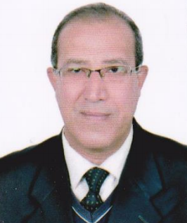 Prof. Tarek Aly Elsayed