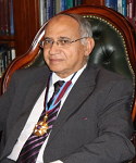 Prof. Hussein Ammar