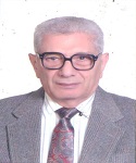 Prof. Mohammed Abd El-Dayem Sallam
