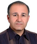 Prof. Mehrab Mehrvar